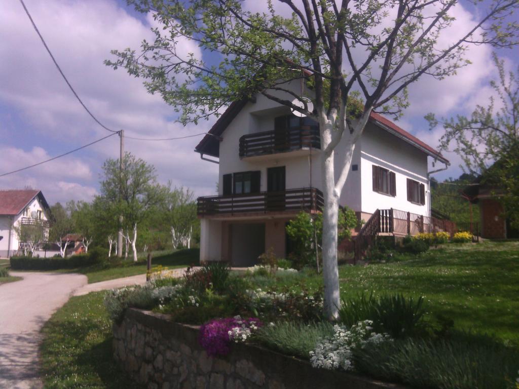 Apartment Ankica Seliste Dreznicko Room photo
