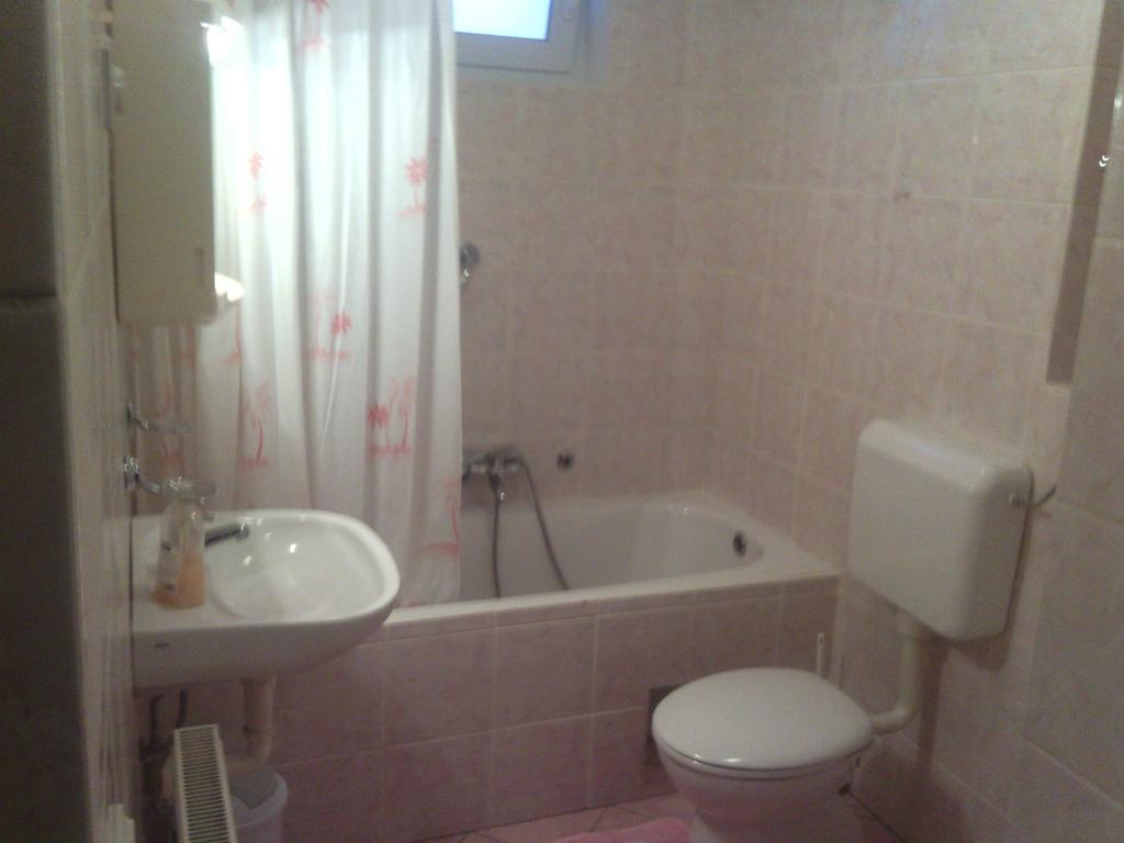 Apartment Ankica Seliste Dreznicko Room photo