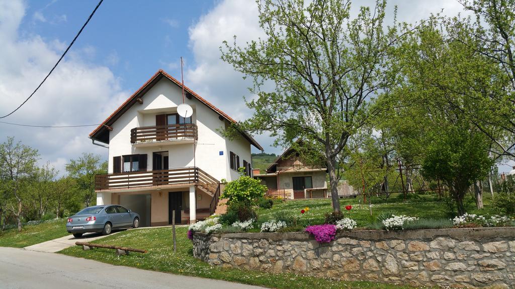 Apartment Ankica Seliste Dreznicko Exterior photo