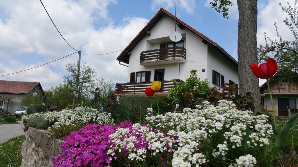 Apartment Ankica Seliste Dreznicko Exterior photo