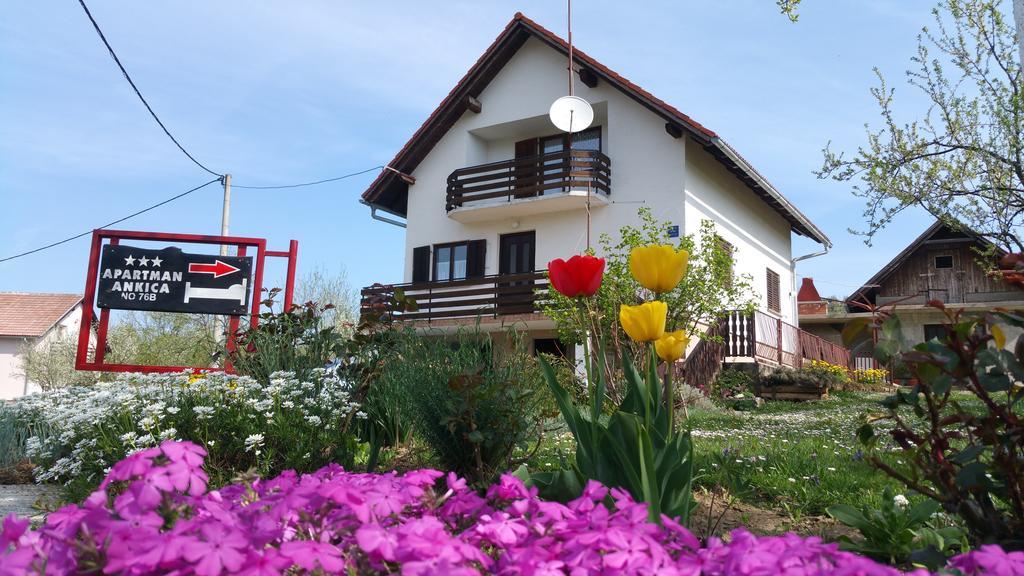 Apartment Ankica Seliste Dreznicko Exterior photo